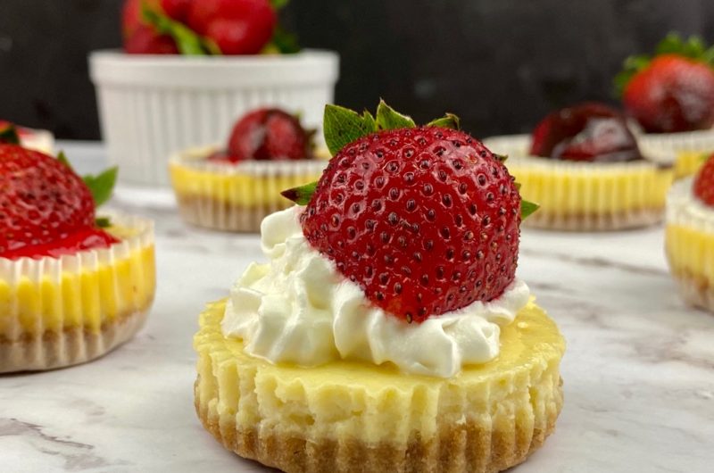 MINI CHEESECAKES